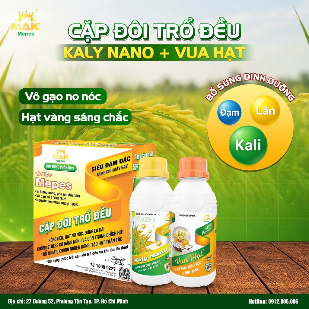 Cặp Đôi Trổ Đều KALY NANO + VUA HẠT - Giải pháp giúp lúa vô gạo thần tốc, hạt no nóc, sáng mẩy, nặng ký