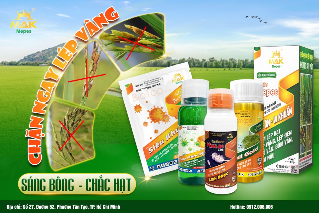 Bộ giải pháp phòng trị lép vàng vi khuẩn: Chặn đứng lép vàng - Sắng bông - Chắc hạt