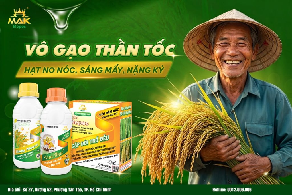 Bộ giải pháp vô gạo thần tốc - CẶP ĐÔI TRỔ ĐỀU (KALY NANO + VUA HẠT) MAK MEPES