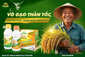 Bộ giải pháp vô gạo thần tốc - CẶP ĐÔI TRỔ ĐỀU (KALY NANO + VUA HẠT) MAK MEPES