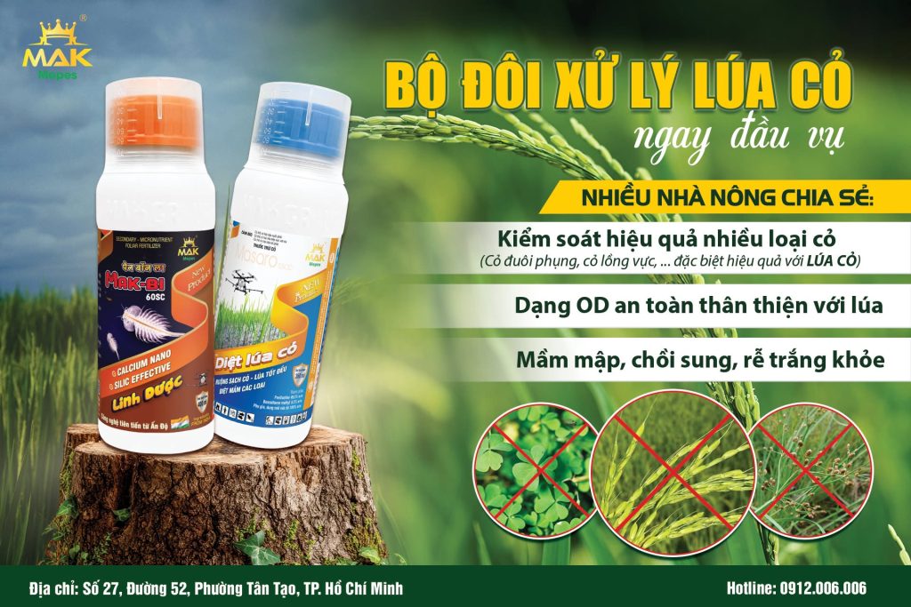 Bộ giải pháp diệt lúa cỏ ngay từ đầu vụ từ Mak Mepes: DIỆT LÚA CỎ + MAK-BI 60SC
