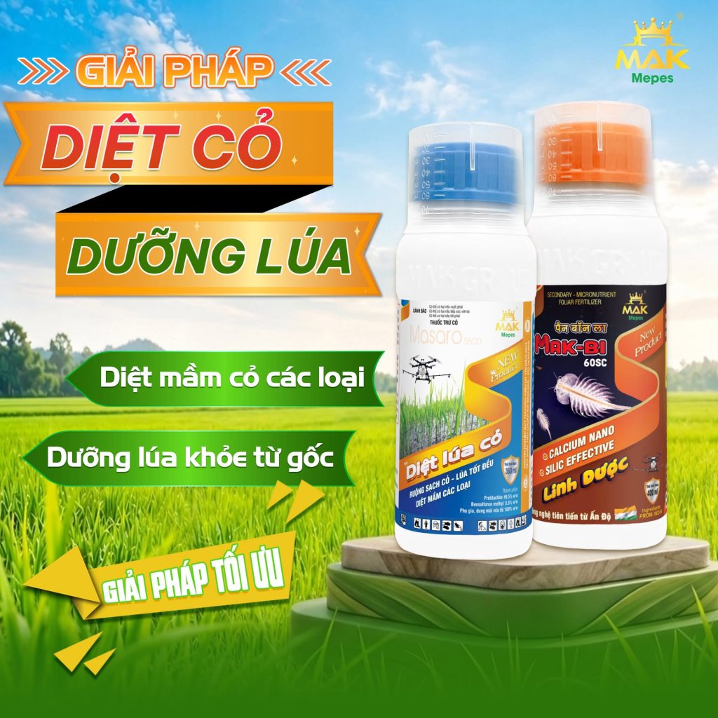 Bộ giải pháp DIỆT LÚA CỎ + MAK-BI 60SC giúp quản lý lúa cỏ sớm, và dưỡng lúa tốt khỏe ngay từ đầu vụ.