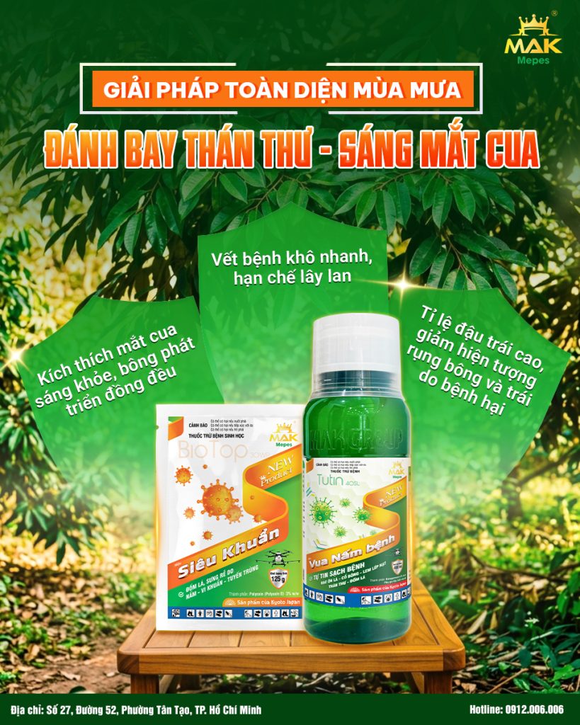 Bộ giải pháp phòng trị bệnh thán thư sầu riêng của Mepes: Vua Nấm Bệnh + Siêu Khuẩn