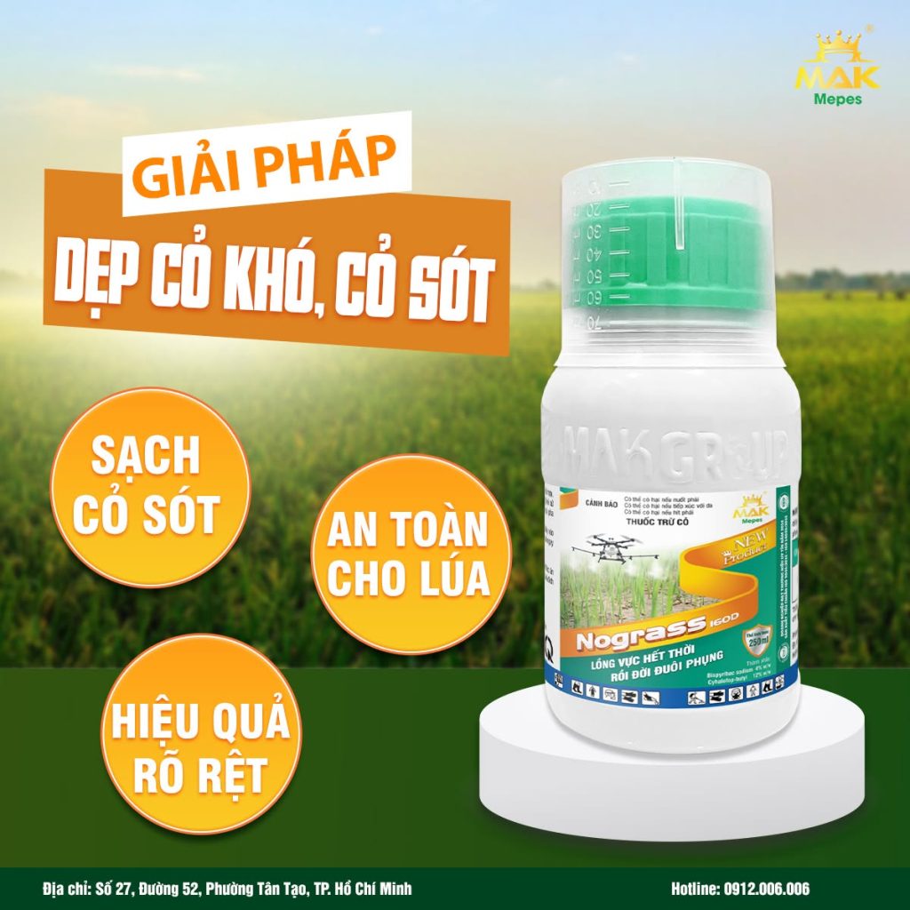 Thuốc trừ cỏ NOGRASS 16OD - Giải pháp dẹp cỏ khó, cỏ sót